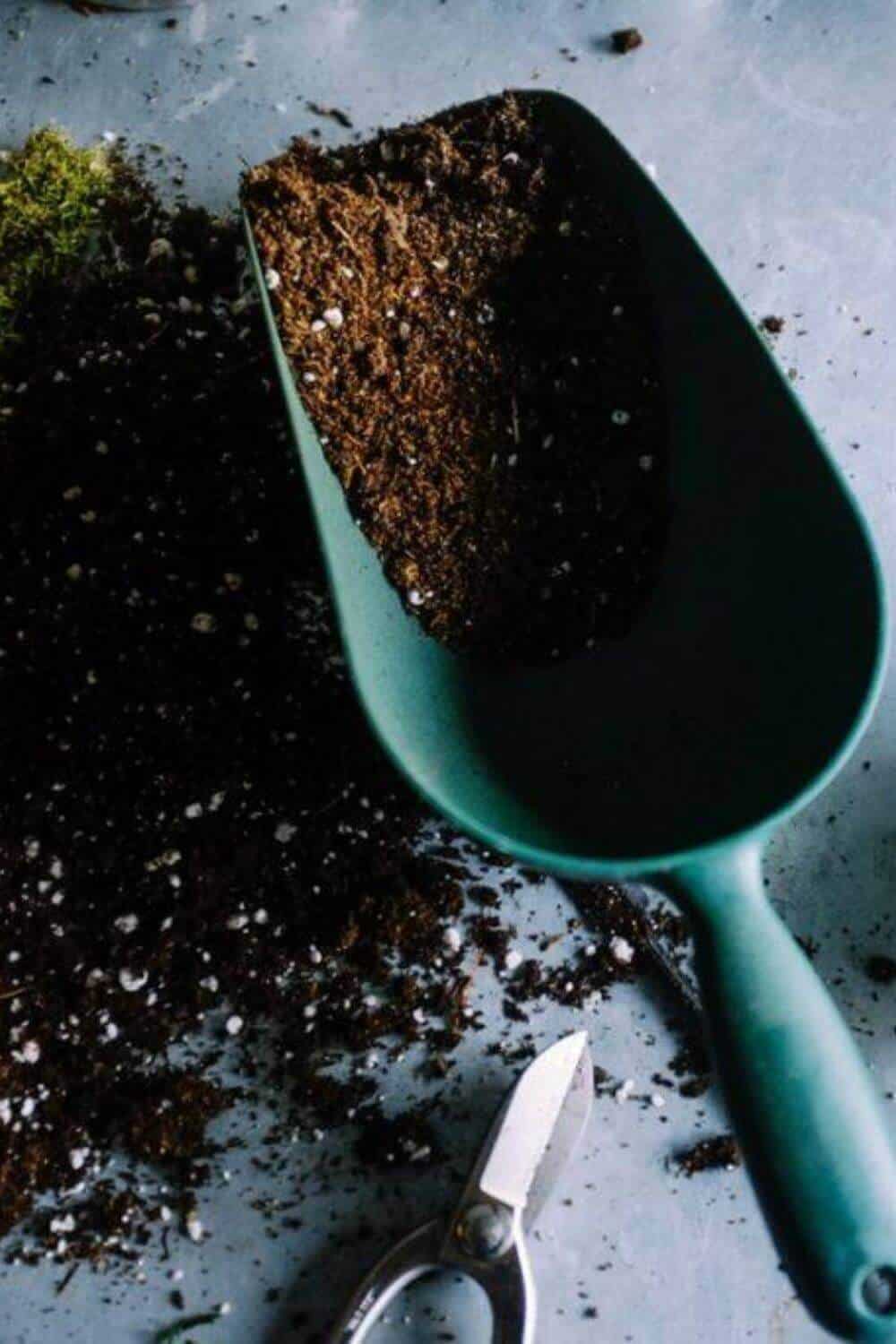堆肥的魔力堆肥的诸多好处#堆肥的好处#可持续生活#可持续丛林